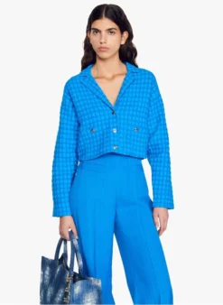 Sandro ASTIER - Kort Tweedjasje Met Reverskraag | Blauw -Kleding Winkel 4126937